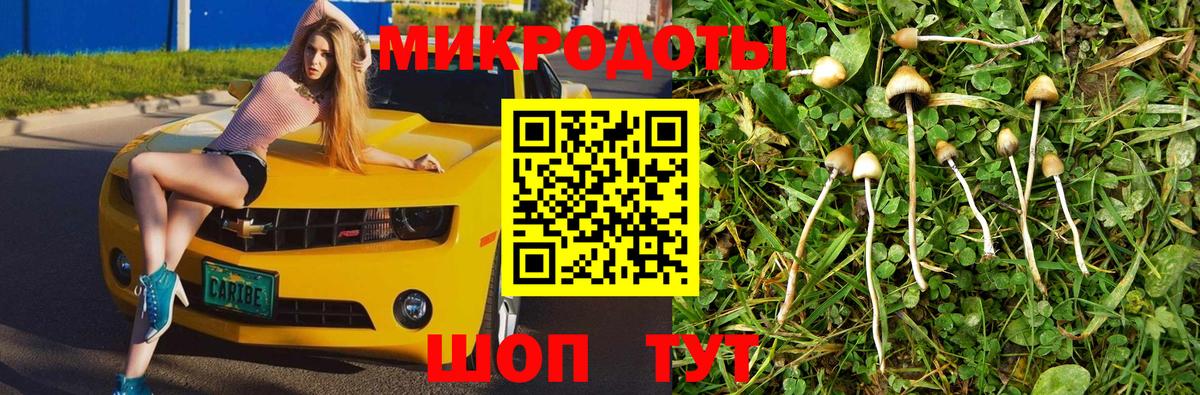 Псилоцибиновые грибы GOLDEN TEACHER Кулебаки