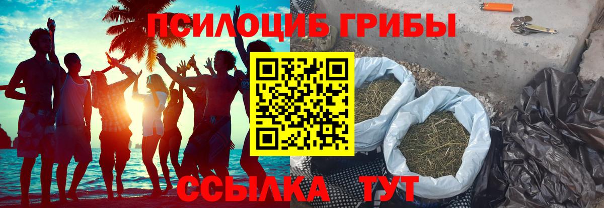 магазин продажи   Вход с VPN  Кулебаки  Псилоцибиновые грибы Psilocybine cubensis  Галлюциногенные грибы GOLDEN TEACHER 
